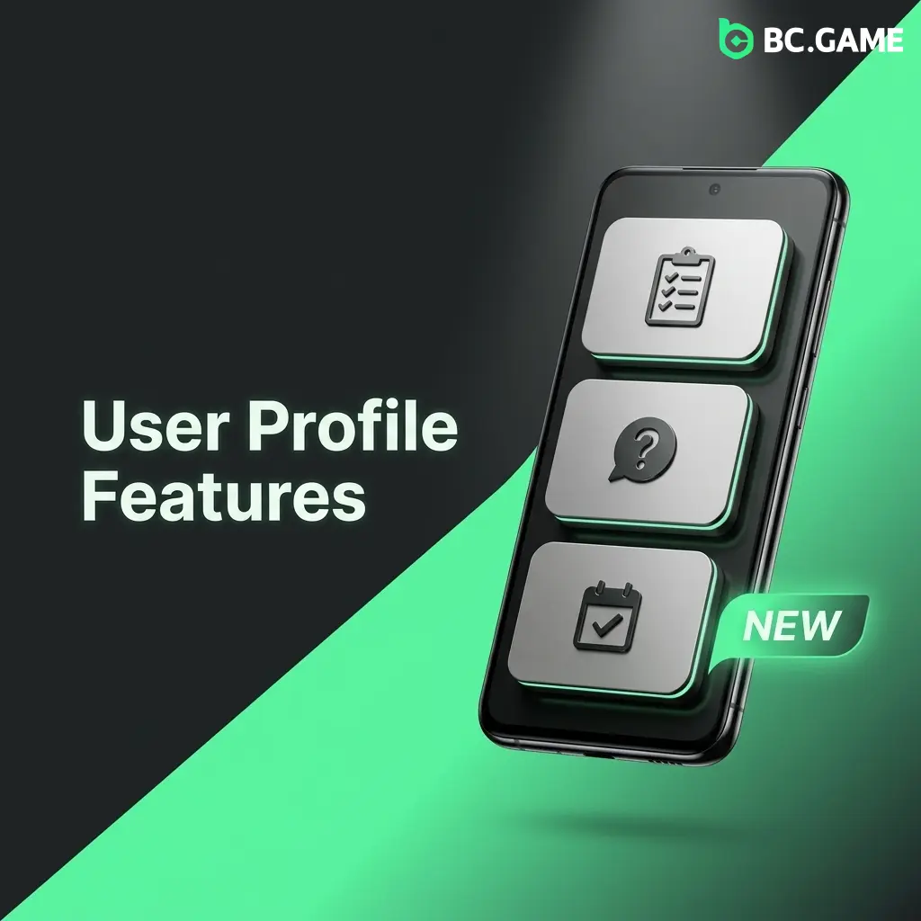 BC Game user profile dashboard showing balance, transaction history, VIP level, and account settings options